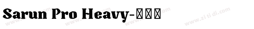 Sarun Pro Heavy字体转换